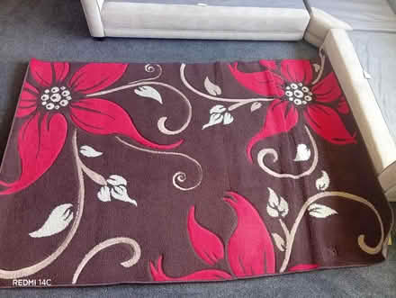 Photo of free Large rug (Moseley B13) #3