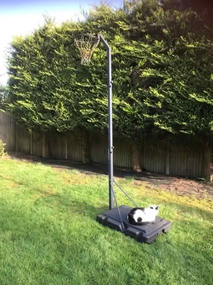 Photo of free Netball post (Cheapside SL5) #1