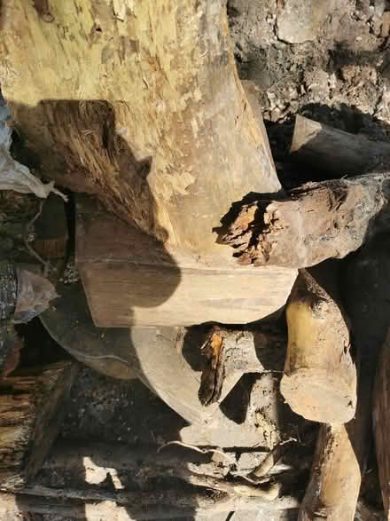 Photo of free logs (Newbridge WV3) #2