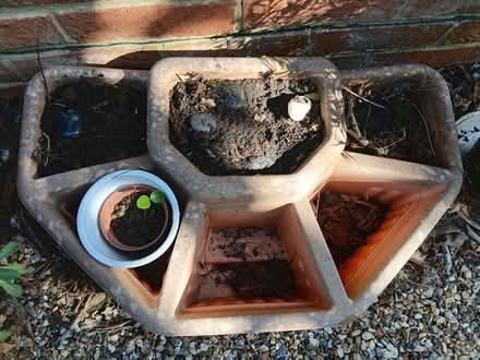 Photo of free Used sectioned herb planter (Burnham) #1