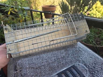 Photo of free Humane / Resusable Rat & Mouse Trap (Willesden Green Station) #2