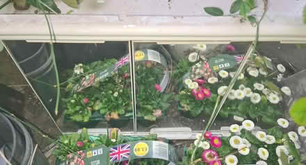 Photo of free 3-door medicine cabinet (Dalston E8) #1