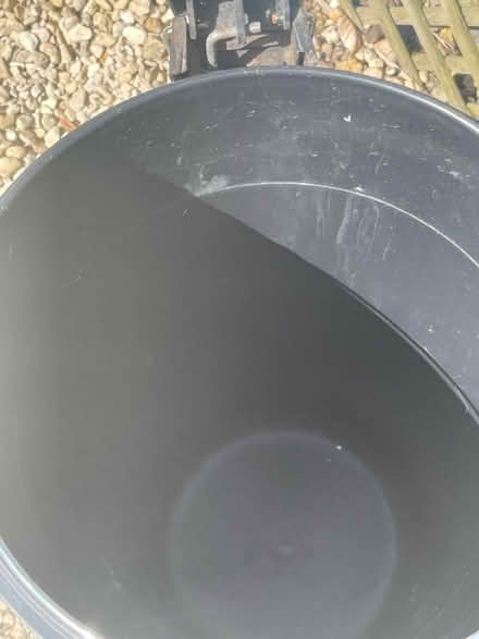 Photo of free Kitchen waste bin (Winterbourne Monkton SN4) #2