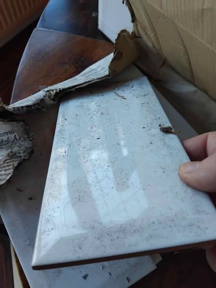 Photo of free 12 White tiles (Leigh on Sea) #2