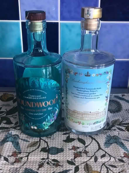 Photo of free Two empty gin bottles (King's Hedges Ward CB4) #1