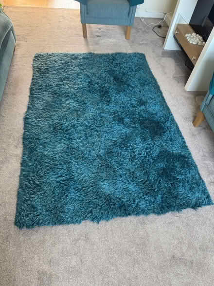 Photo of free Green rug (BS15) #1