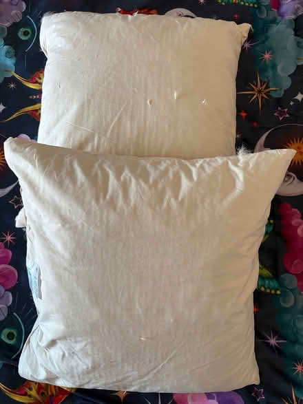 Photo of free 2 feather cushions. Unused (Scarborough YO12) #1