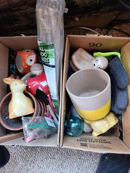 Photo of free Misc plant stuff (West groton) #1