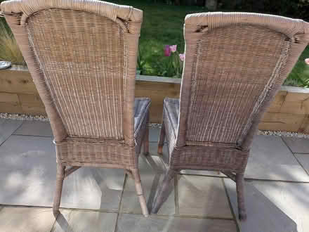 Photo of free Cane Chairs Pale Blue (Woking) #3