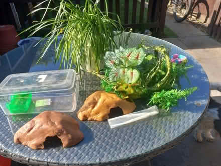 Photo of free Vivarium for small reptile (Tilehurst RG30) #2