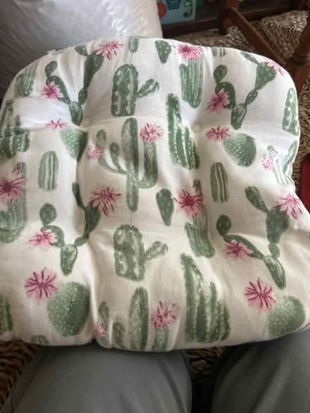 Photo of free Seat cushion (Newbury RG14) #1