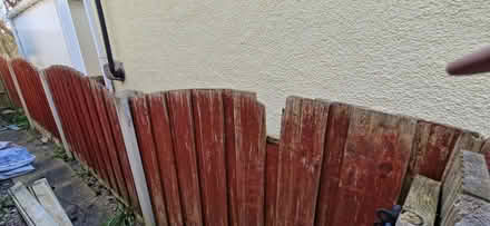 Photo of free 8 fence panels 6ft w x 3 ft high (+ arch) (Millhead LA5) #3