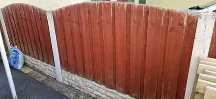 Photo of free 8 fence panels 6ft w x 3 ft high (+ arch) (Millhead LA5) #1