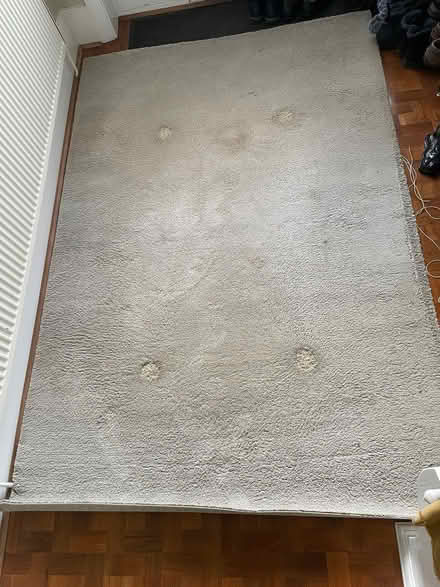 Photo of free Rug (Palmers Green N13) #1