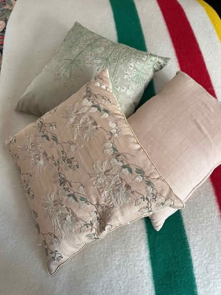Photo of free 3 cushions (EH14 Juniper Green) #1