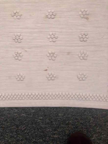 Photo of free White cotton bath mat (King's Hedges Ward CB4) #2