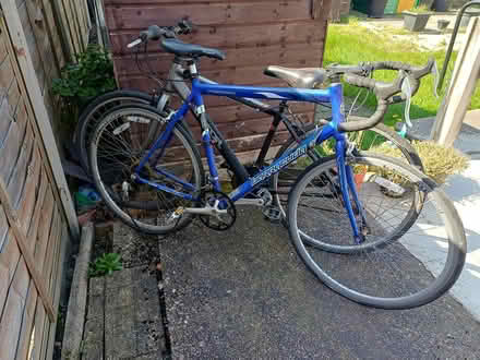 Photo of free Adult bikes (Latchford) #1