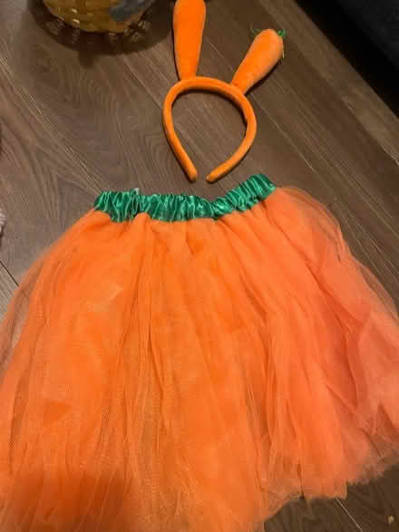 Photo of free Easter baskets, headband ears & dress up (Leytonstone E11) #4