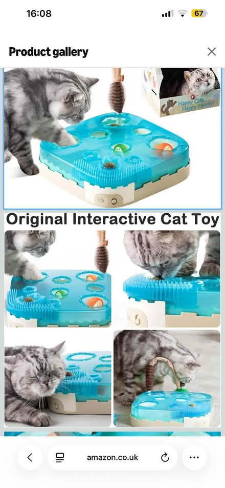 Photo of free Interactive cat toy (Earlsfield SW18) #2