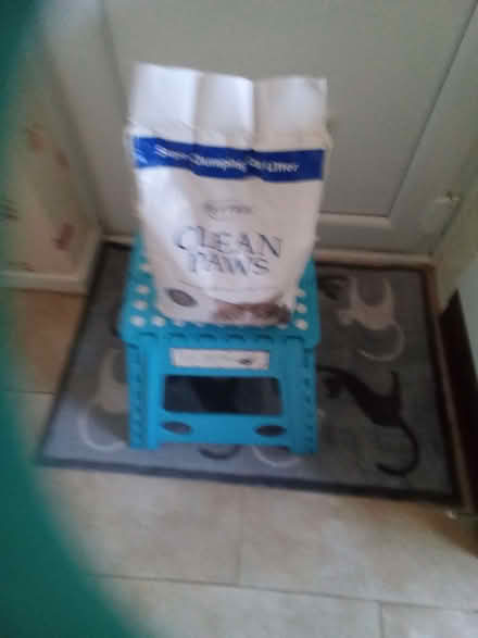 Photo of free Cat good and litter (Eccleston PR7) #1