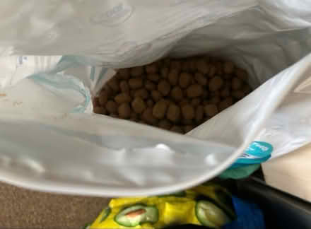 Photo of free Dog biscuits (W10 nottinghill) #2