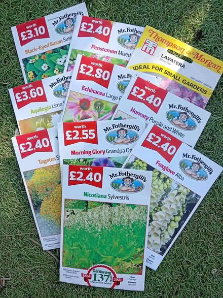 Photo of free 10 packets of seeds (Edgeley SK3) #1