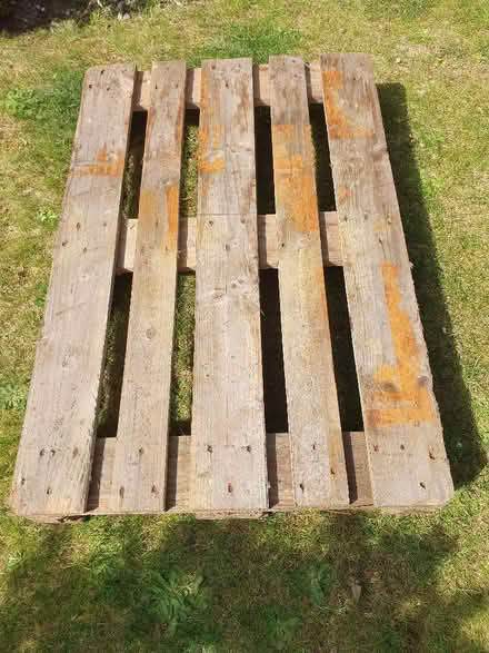 Photo of free Pallet tray (Colehill BH21) #1