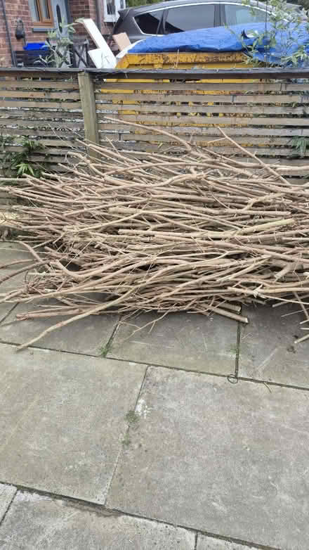 Photo of free Wood (Reney Crescent shiffield) #3