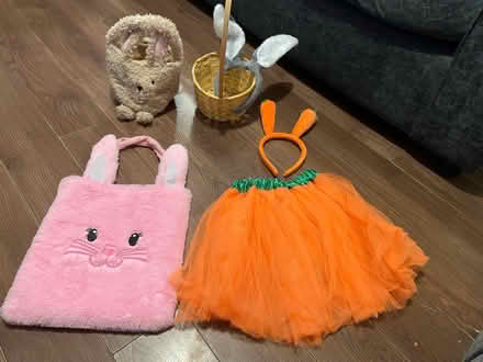 Photo of free Easter baskets, headband ears & dress up (Leytonstone E11) #1