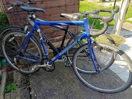 Photo of free Adult bikes (Latchford) #2