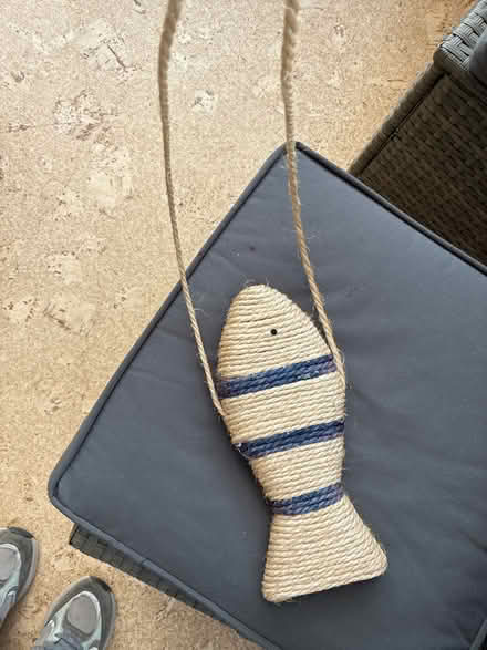 Photo of free Cat scratch toy (Comiston EH10) #2