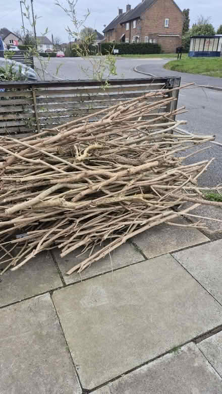 Photo of free Wood (Reney Crescent shiffield) #1