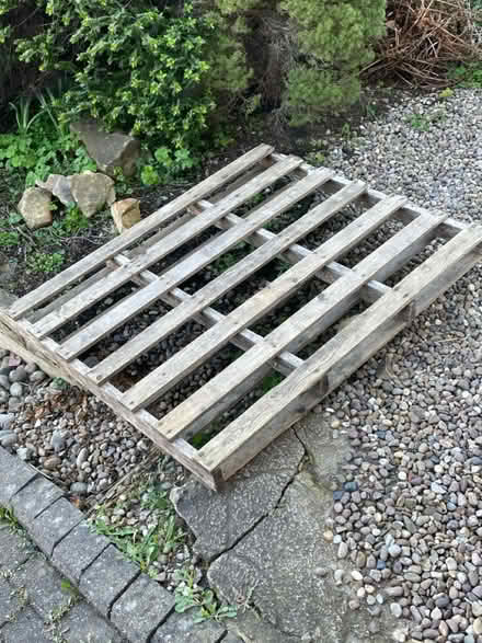 Photo of free Pallet (S10 Crosspool) #1