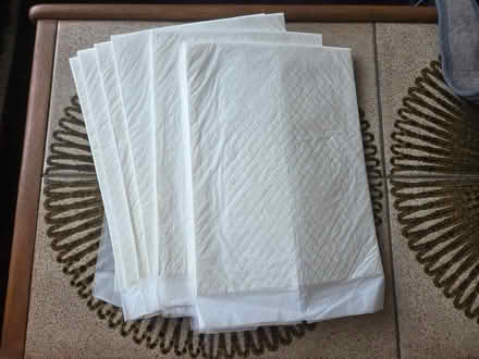 Photo of free 8x NEW Large Puppy Absorbant Pads (Willesden Green Station) #1