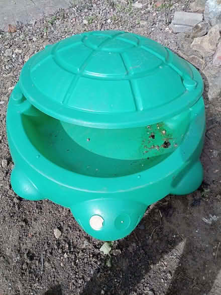 Photo of free sandpit/paddling pool turtle (Gleneagles area, Wboro NN8) #2