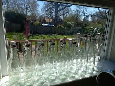 Photo of free Swingtop glass beer bottles (CT6) #1