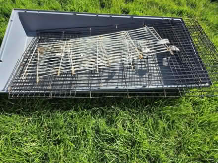 Photo of free Ferplast indoor guinea pig cage (Whittle Hill NE61) #2