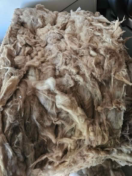 Photo of free Insolation Wool (Ox42LD) #3