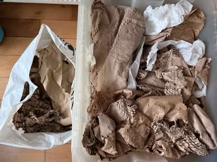 Photo of free 1x bin liner full of brown paper packaging materials (Hampden Park BN22) #1