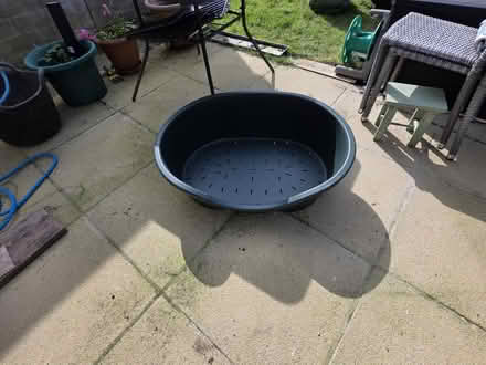 Photo of free Dog Basket (Southdown, BA2) #3