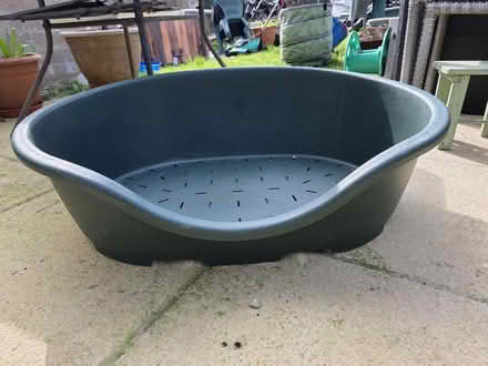 Photo of free Dog Basket (Southdown, BA2) #1