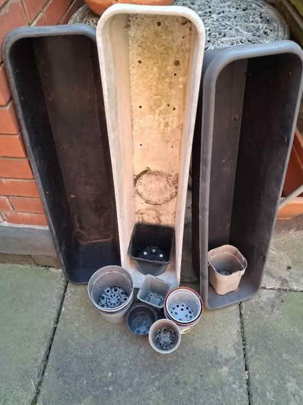 Photo of free Window boxes and pots (Soho WC2H) #3