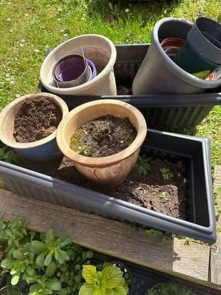 Photo of free Plants pots, mixed (Broadcylst EX5) #1