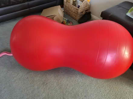 Photo of free Peanut Ball (Ilkeston DE7) #1