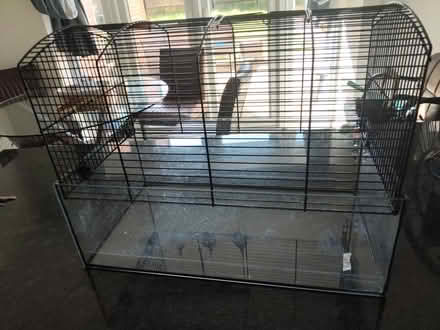 Photo of free Hamster cage (Sutton Road Maidstone ME15) #2