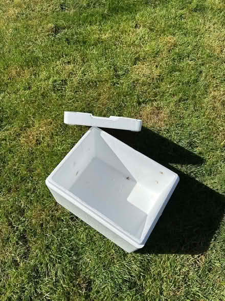 Photo of free 2 x polystyrene boxes - BEARSTED (Bearsted ME14) #1