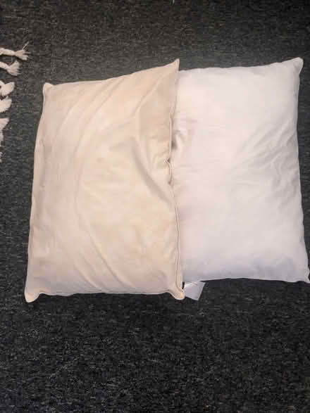 Photo of free Two pillows (King's Hedges Ward CB4) #1