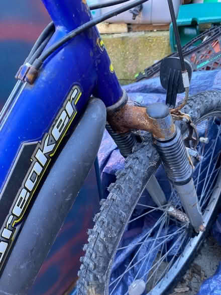 Photo of free Man’s Bike (Newhaven BN9) #4