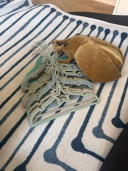 Photo of free Kids’ hangers and bug stuffy (Chelsea Green SW3) #1