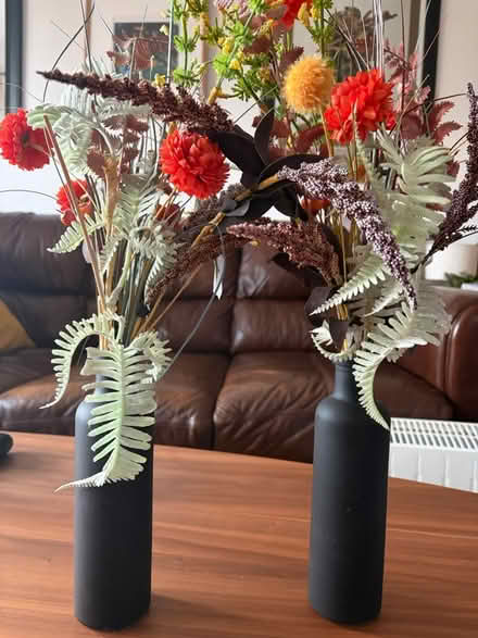 Photo of free Plastic decorative plants (Dennistoun G31) #1